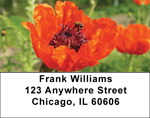 Nature's Beauty Address Labels