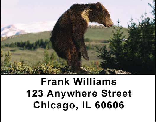 Bears in the Wild Address Labels