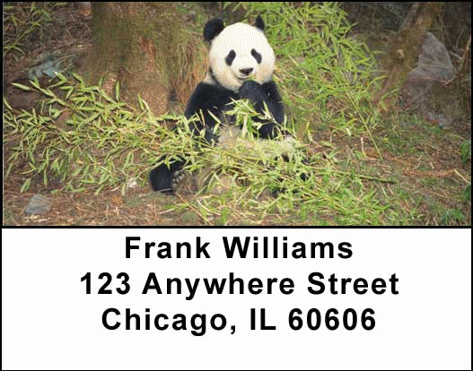 Panda Bears Address Labels