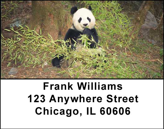 Panda Bears Address Labels