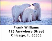 Polar Bears Address Labels