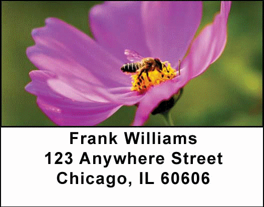 Bees Address Labels