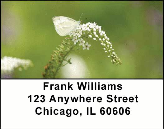 Butterflies in Nature Address Labels