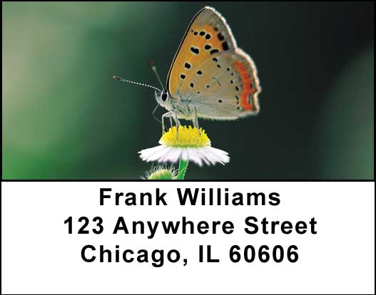 Butterflies in Nature Address Labels