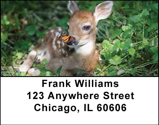 Baby Deer Address Labels
