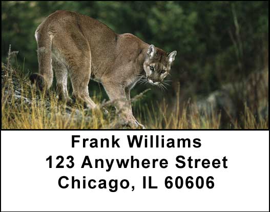 Cougars Address Labels
