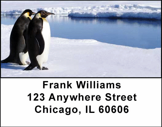 Penguins Address Labels