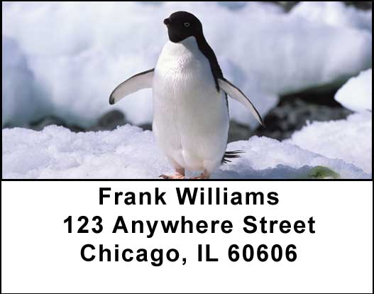 Penguins Address Labels
