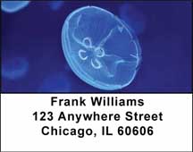 Jellyfishes Address Labels