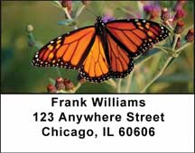 Monarch Butterflies Address Labels