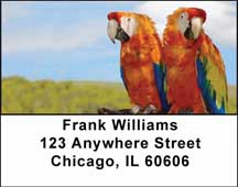 Macaw Parrots Address Labels