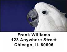 Cockatoos Address Labels
