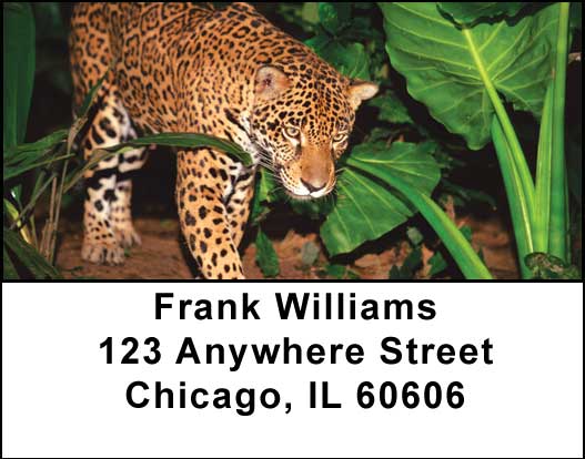 Big Cats Address Labels