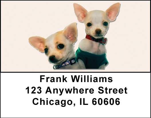 Chihuahuas Address Labels