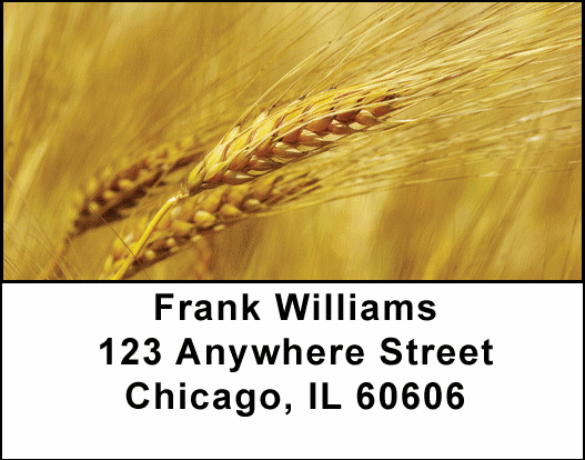 The Harvest Address Labels