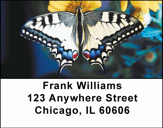 Wings & Things Address Labels