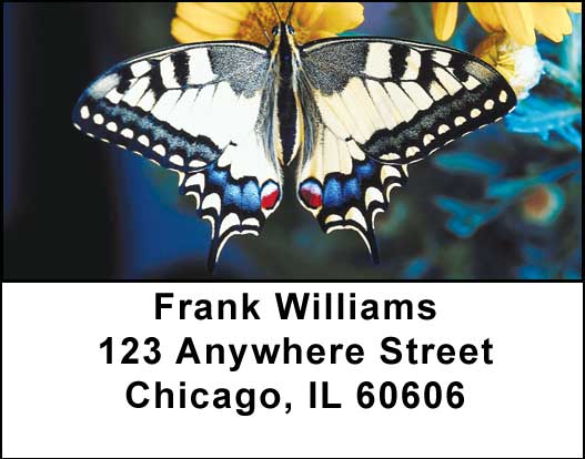 Wings & Things Address Labels
