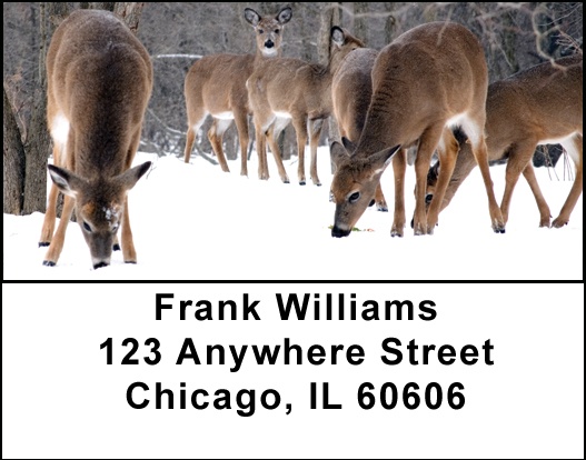 Deer In Winter Address Labels