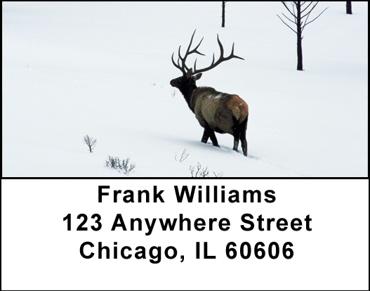 Elk Racks Address Labels