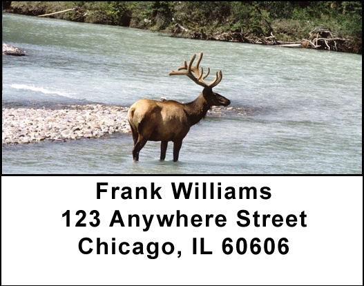 Elks In High Country Address Labels