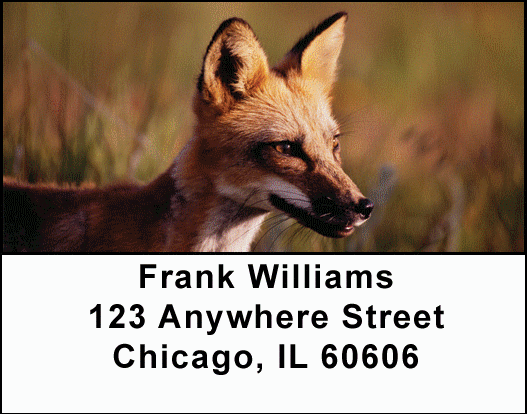 Sly As A Fox Address Labels