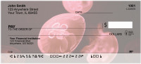 Jellyfishes Personal Checks | ANI-37