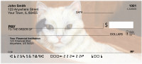 Affectionate Cats Personal Checks | BBA-72