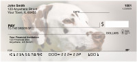 Dandy Dalmatians Personal Checks | BBA-94