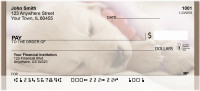 Golden Retriever Puppies Personal Checks | BBA-97