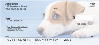 Jack Russell Puppy Love Personal Checks | BBB-04