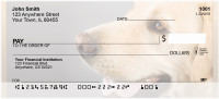 Beautiful Yellow Labs Personal Checks | BBB-07
