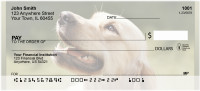 Beautiful Yellow Labs Personal Checks | BBB-07