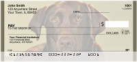 Chocolate Lab Alert Personal Checks | BBB-08