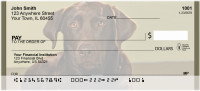 Chocolate Lab Alert Personal Checks | BBB-08