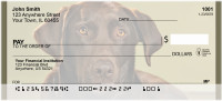 Chocolate Lab Alert Personal Checks | BBB-08
