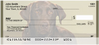 Chocolate Lab Alert Personal Checks | BBB-08