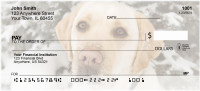 Labs For All Seasons Personal Checks | BBB-11