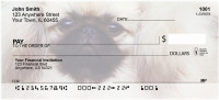 Perky Pekingese Personal Checks | BBB-17
