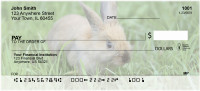 Bunnies In Springtime Personal Checks | BBB-41