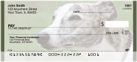Greyhound Glances Personal Checks | BBD-93