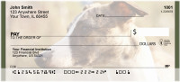 Greyhound Glances Personal Checks | BBD-93