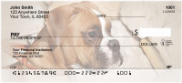 Boxer Daze Personal Checks | BBI-22