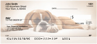 Boxer Daze Personal Checks | BBI-22