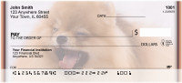 Playful Pomeranians Personal Checks | BBI-25