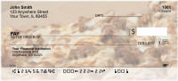 Pizza Delivered Personal Checks | BBI-34