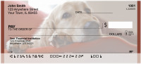 Golden Retriever Royality | BCA-75