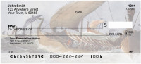 Sailor's Heritage | BCB-22