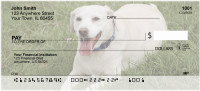 Golden Labradors Personal Checks | DOG-10