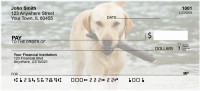 Golden Labradors Personal Checks | DOG-10