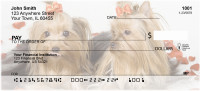 Yorkshire Double Trouble Personal Checks | DOG-25